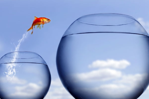 Crecimiento personal. Pez que salta de una pecera pequeña a una grande